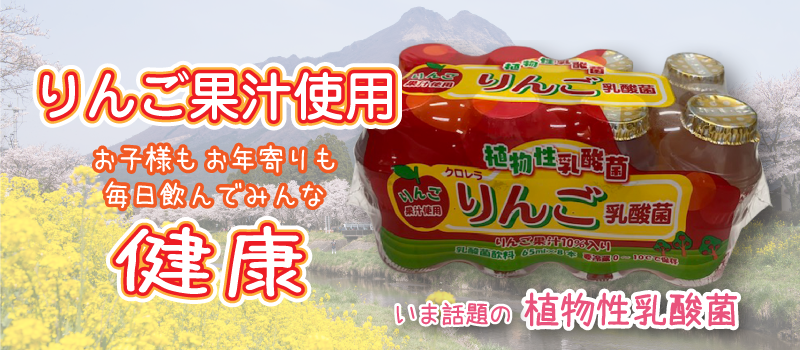りんご乳酸菌 8P